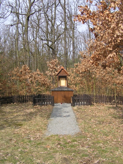 duza fotka